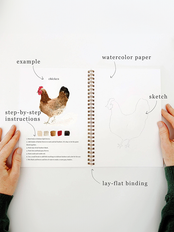 Watercolor Workbook: Animals