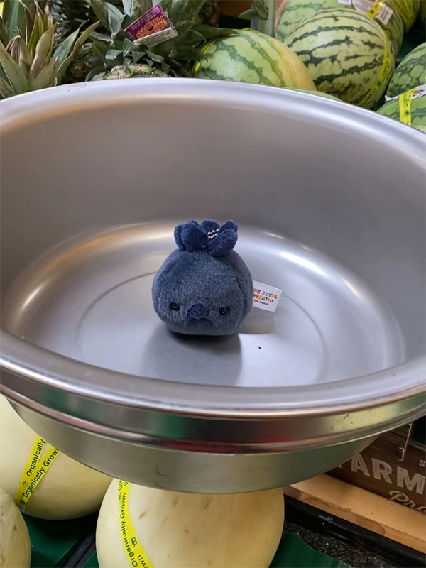 Forgotten Blueberry