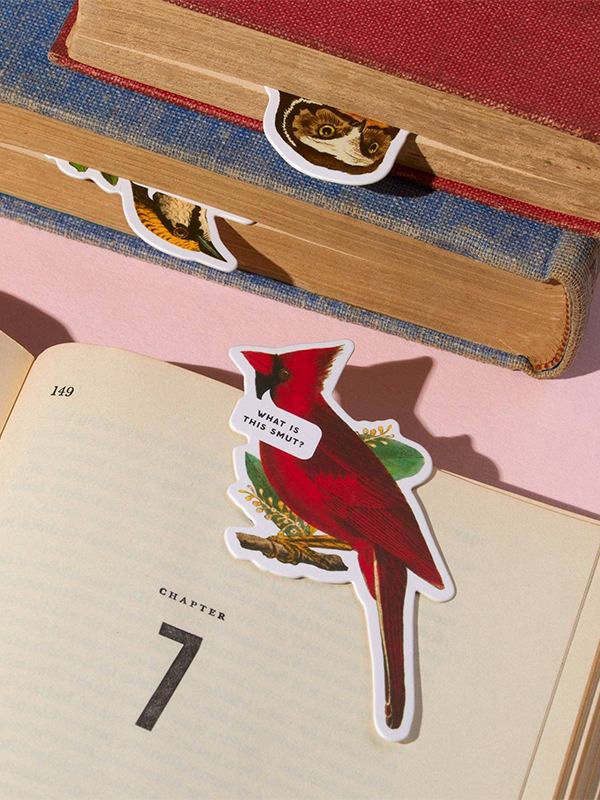 Salty Birds Magnetic Bookmark Set