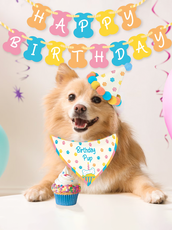 Dog Birthday Kit