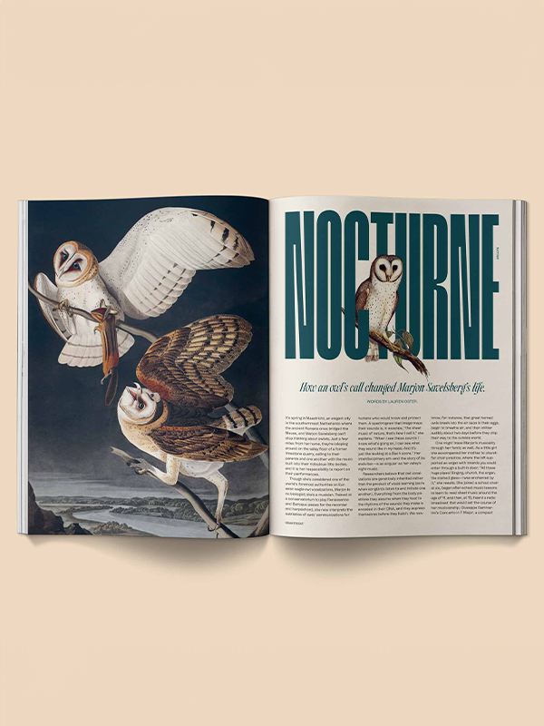 Heartbeat Magazine: Music, Sound, Emotion