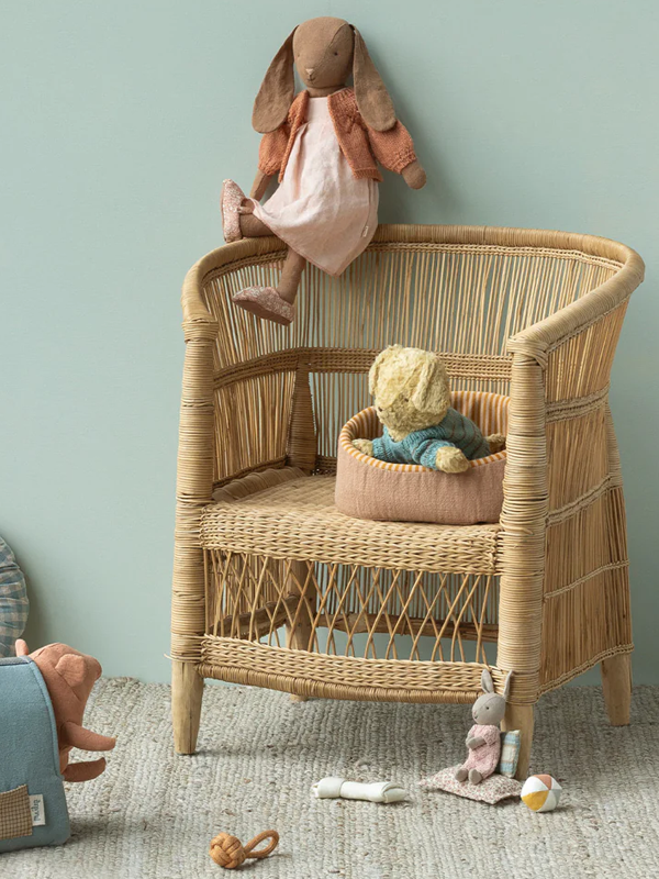 Pet Basket: Powder