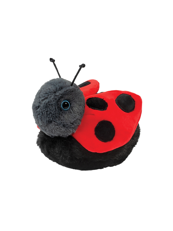 Bert Ladybug