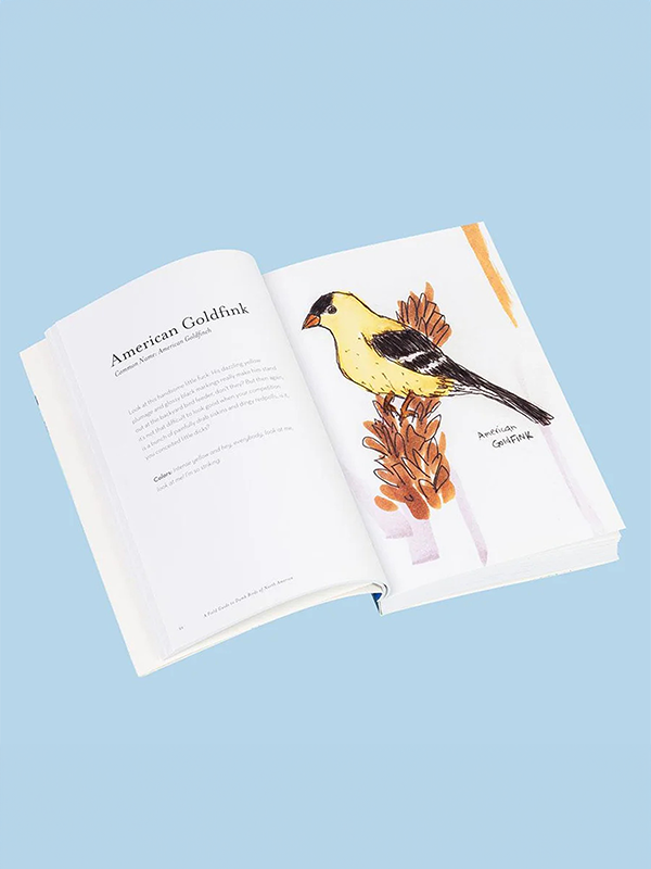 Field Guide To Dumb Birds Of North America
