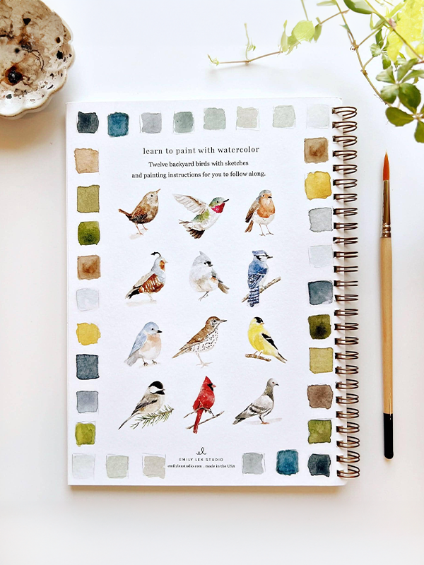 Watercolor Workbook: Birds