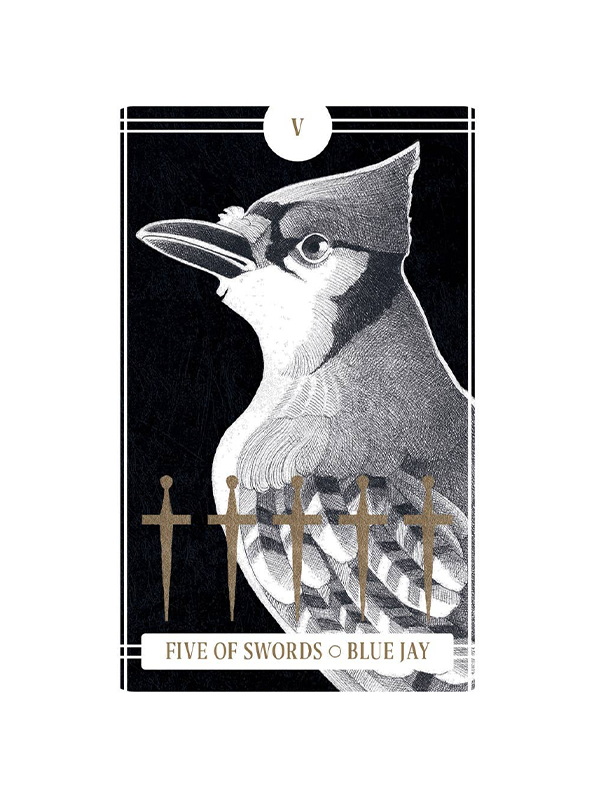 Avian Tarot
