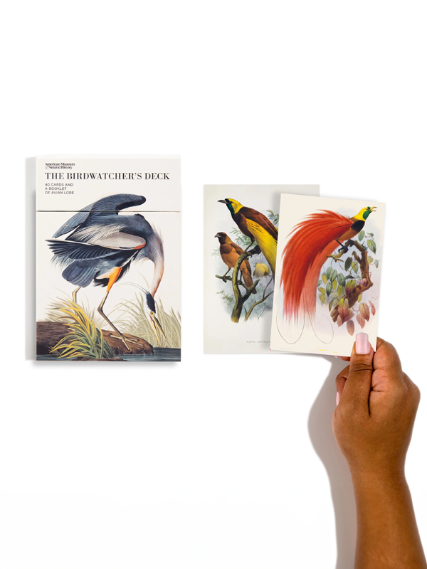 The Birdwatcher's Deck