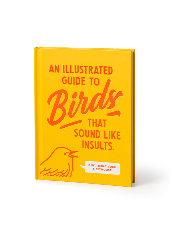 Illustrated Guide to Birds That Sound Like Insults