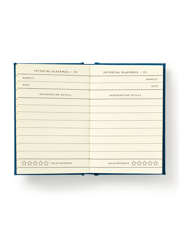 Future Blackmail Tiny Diary