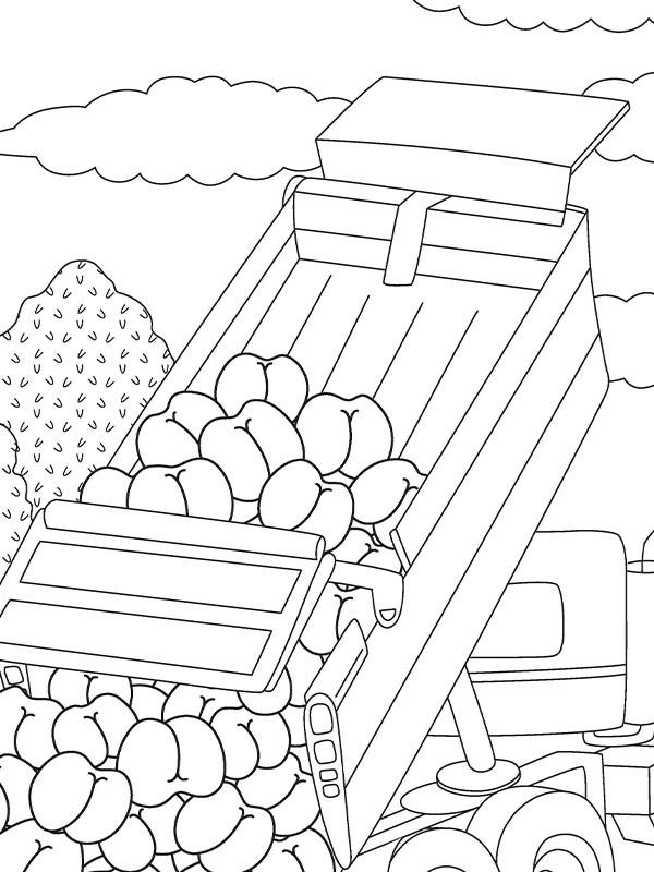 Ultimate Butt Coloring and Activity Book