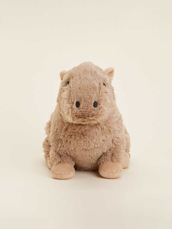 Capybara Warmies