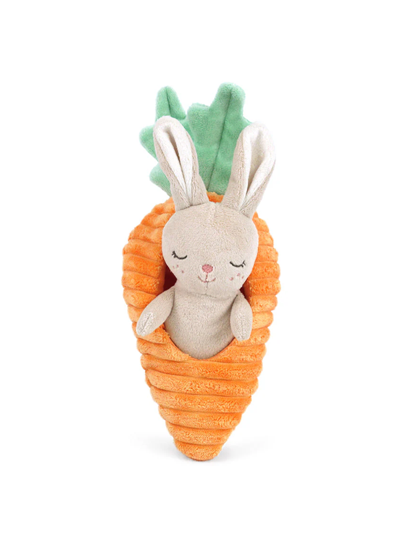 Bunny in Carrot Activity Toy
