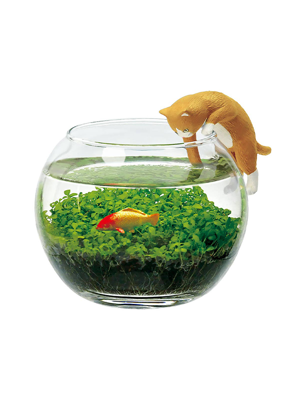 Water Garden with Cat: Brown