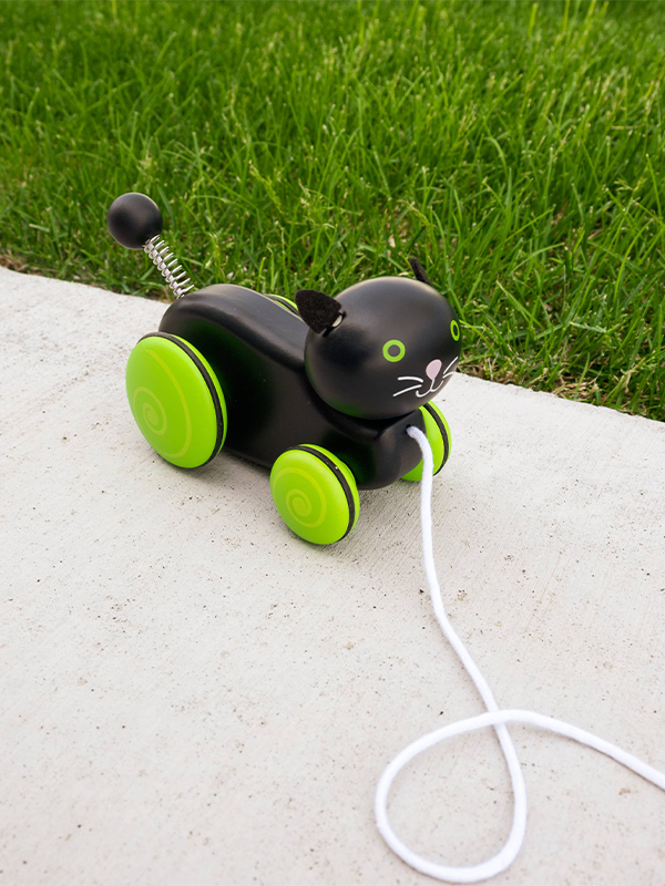 Whiskers the Cat Pull Toy