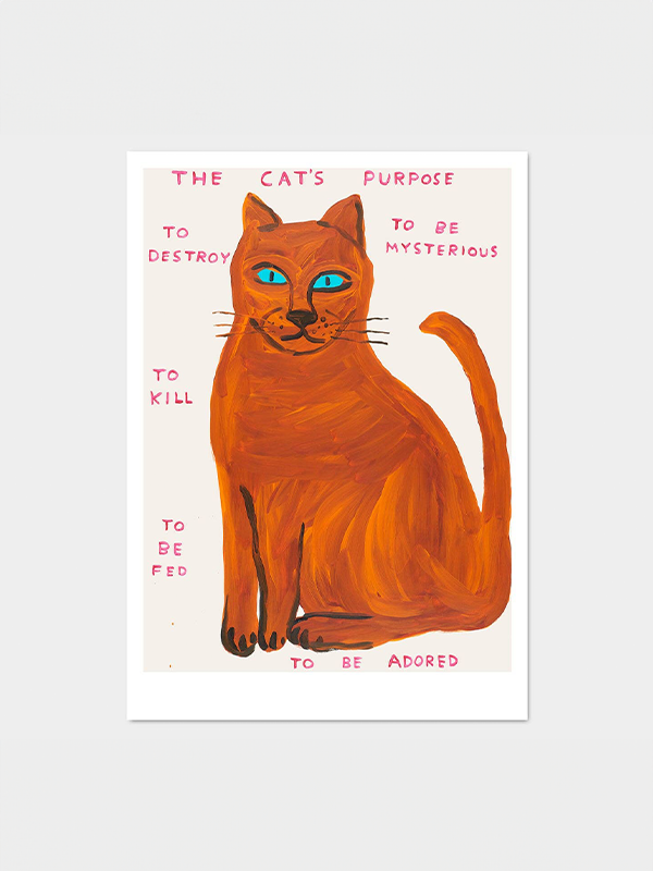 David Shrigley Postcard: The Cat's Purpose