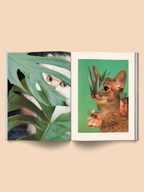 Catnip Magazine