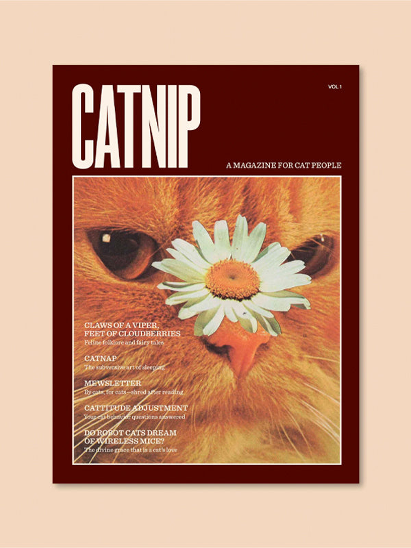 Catnip Magazine