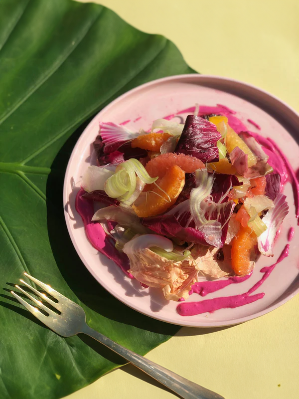 Citri Cookbook Zine