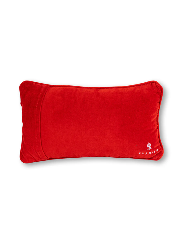 Clumsy Needlepoint Pillow