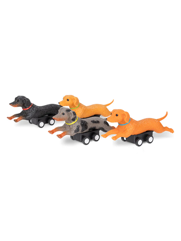 Racing Wiener Dogs (Single, Assorted)