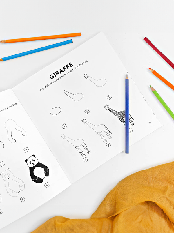 How To Draw All the Animals