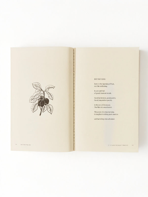 It Is All Equally Fragile: A Poetry Book (Paperback)