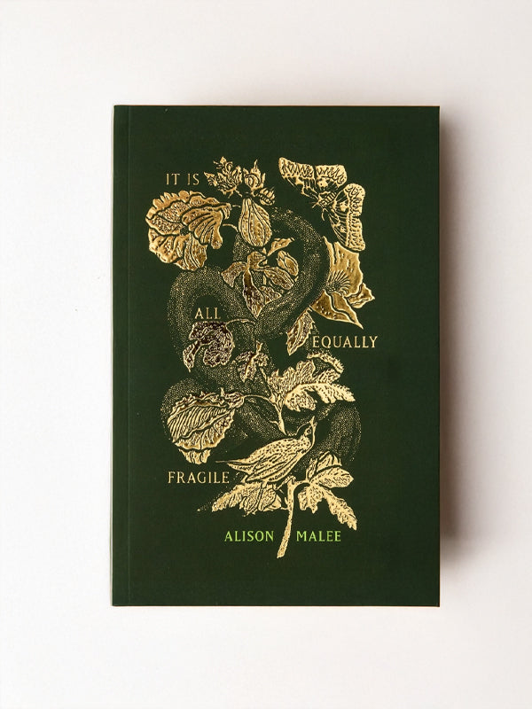 It Is All Equally Fragile: A Poetry Book (Paperback)