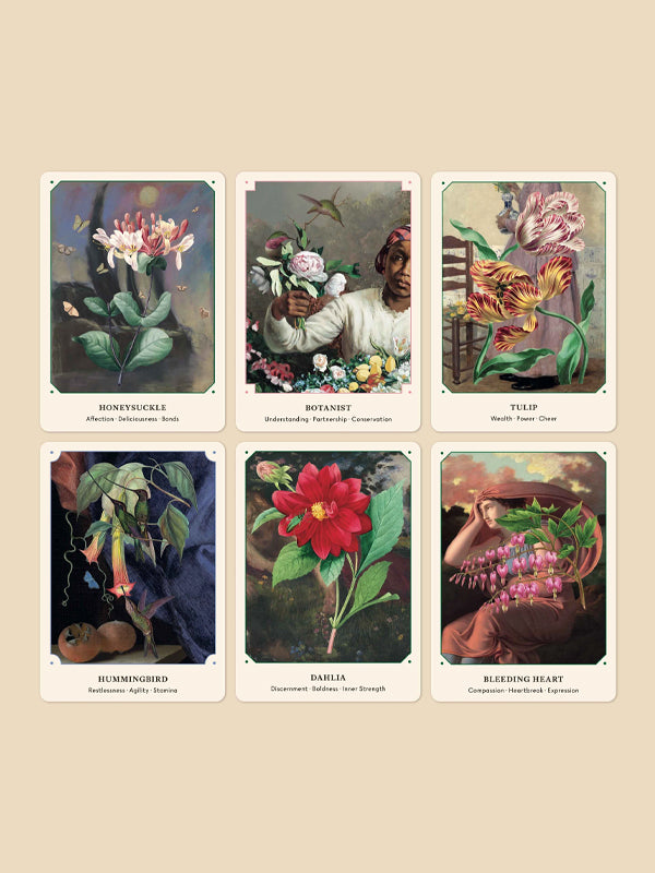 The Flower Oracle: 44 Card Deck and Guidebook
