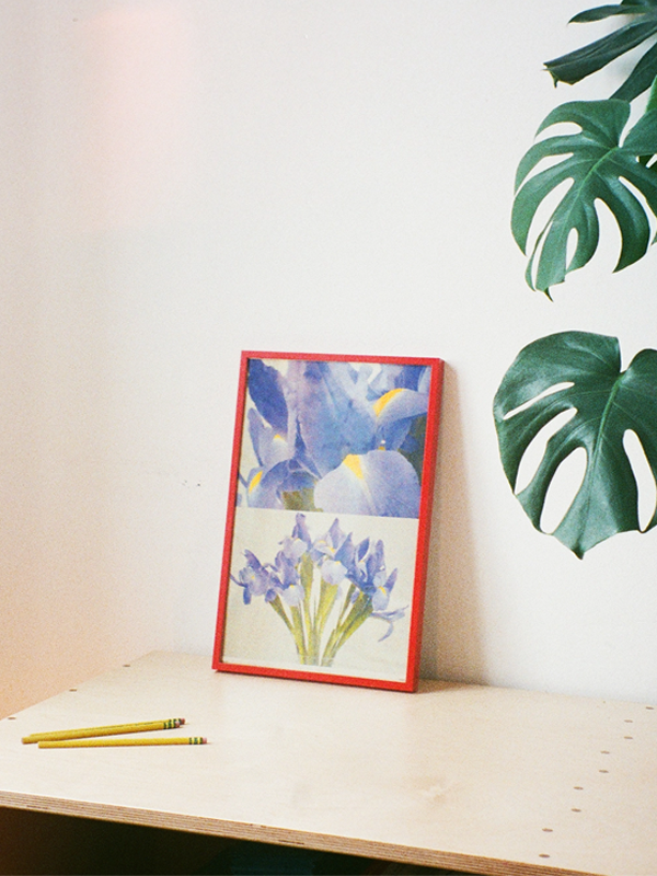 Iris Risograph Print: 11 x 17