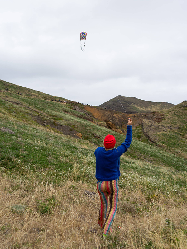 Pocket Kite: Speedy