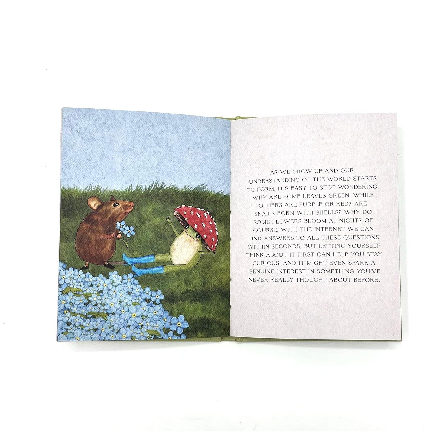 The Little Frog's Guide to Self-Care book featuring adorable illustrations and gentle, humorous advice on self-care, perfect for promoting relaxation and well-being.