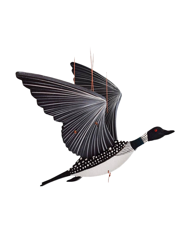 Loon Bird Flying Mobile