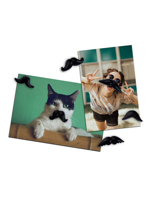 Mustache Magnets: Set of 6