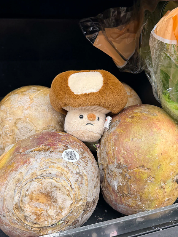 Forgotten Bitten Shiitake Mushroom