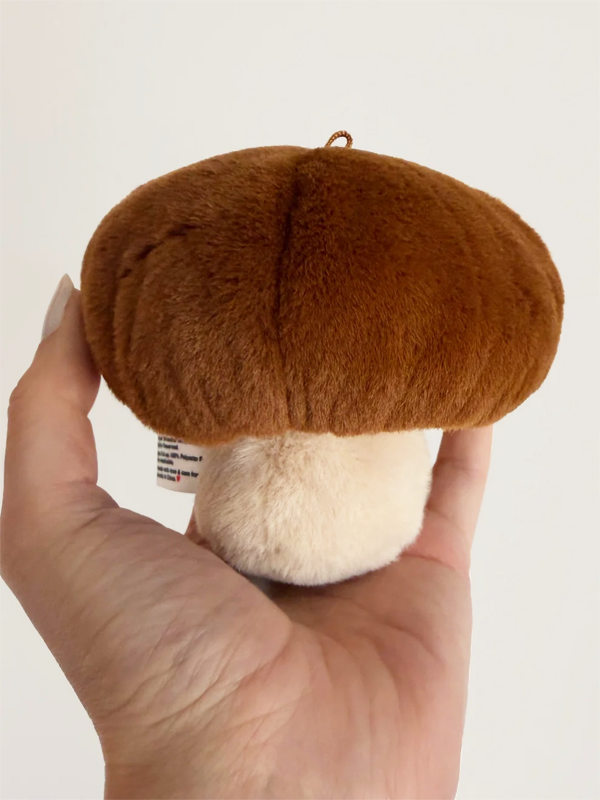 Forgotten Bitten Shiitake Mushroom