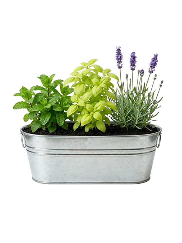 Cocktail Herbs Grow Kit