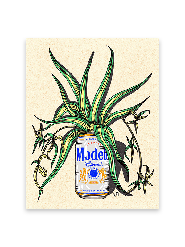 Modelo Beer Can Print: 11 x 14