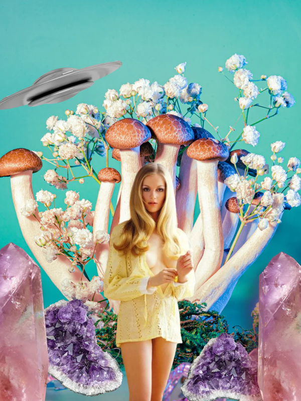Mushroom Playboy Collage Mini Magnet (Single)