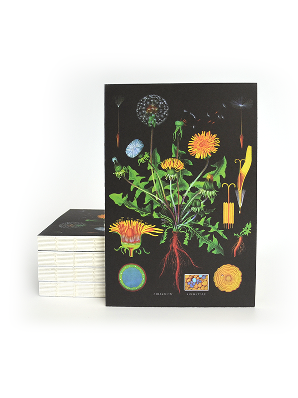 Vintage Botanical Dandelion Notebook