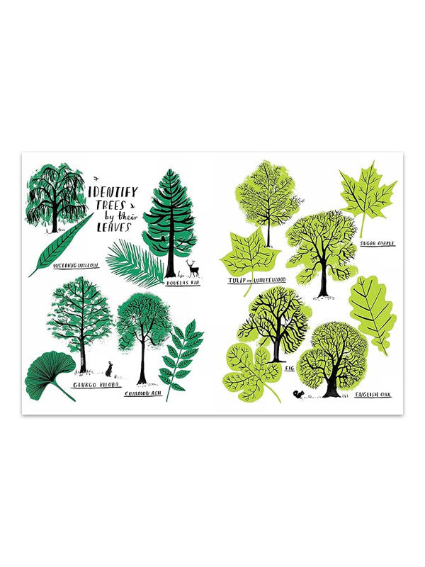 Hello Nature Activity Book: Explore, Draw, Color, and Discover the Great Outdoors