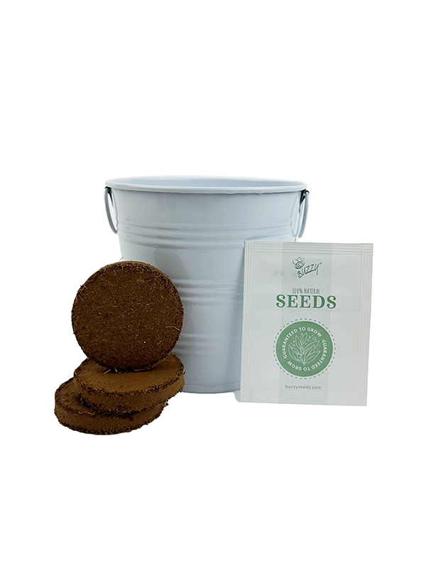 Forget-Me-Not Grow Kit