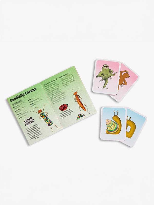 Animals in the Nude: Matching and Memory Game