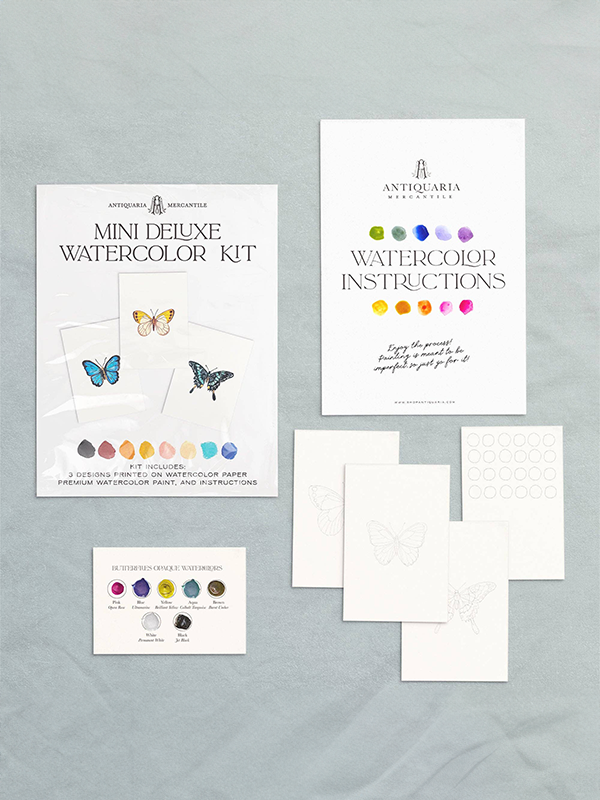 Mini Watercolor Painting Kit: Butterflies