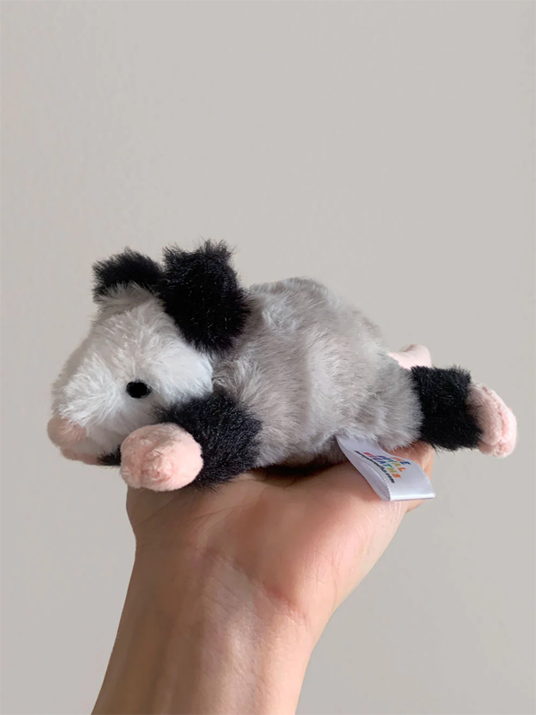Peter the Opossum