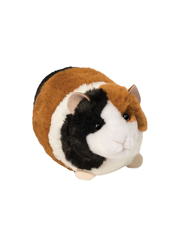 Pippin Guinea Pig