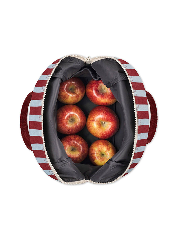 Zipper Lunch: Awning Stripe Chili Pepper