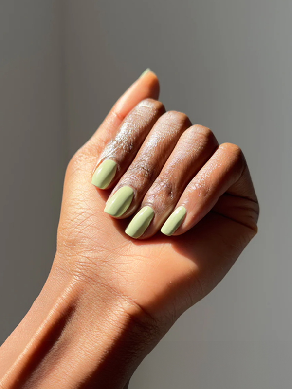 Forever Wear Chill Paint: Sage The Room