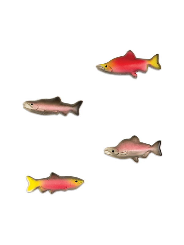 Salmon Magnets: Set of 4