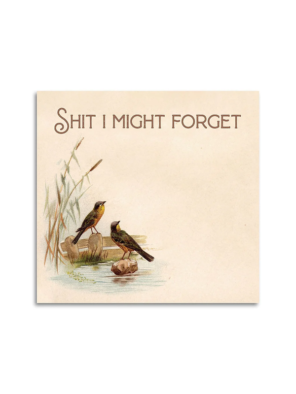 Sticky Notes: Sh*t I Might Forget