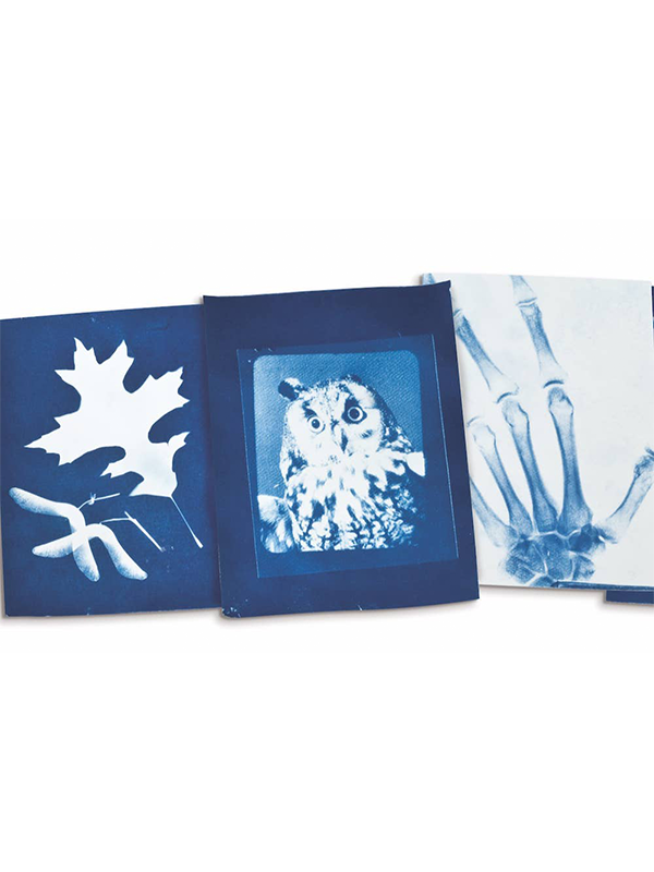 Sunography Paper